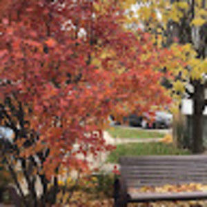 Meet your Posher, Abdul